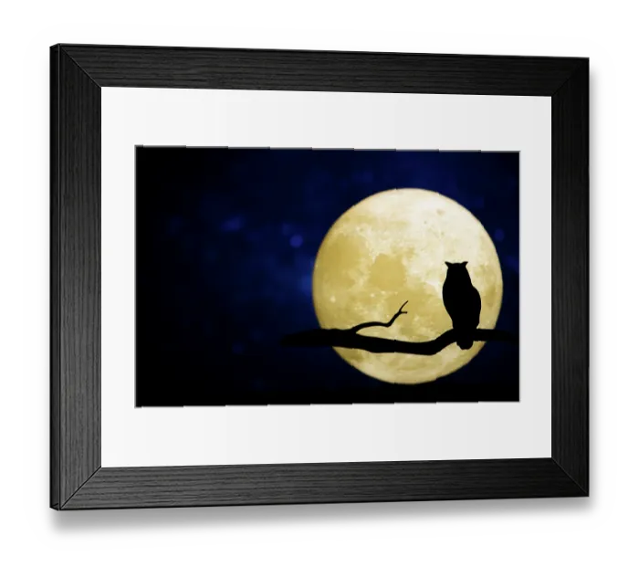 Framed Print : Full moon in the night sky Framed Print : Full moon in the night sky