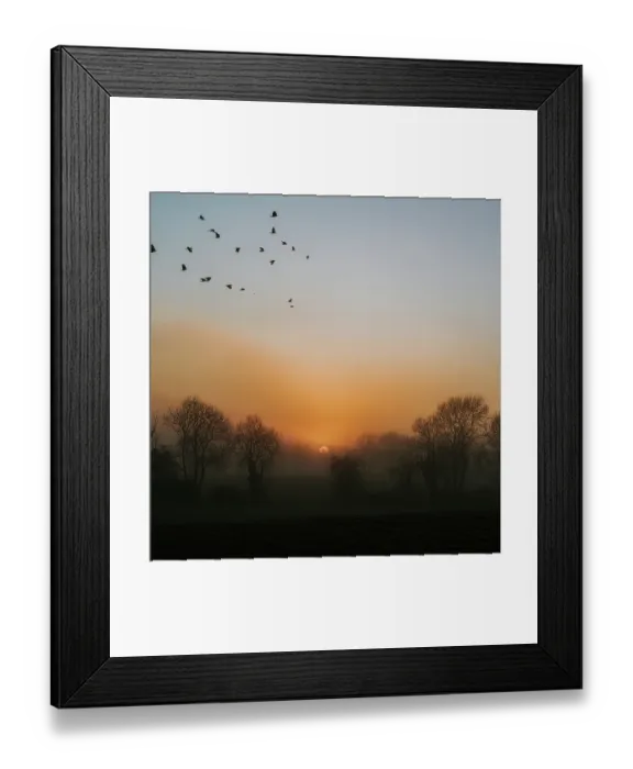 Framed Print : A foggy sunset scene with a flock of birds Framed Print : A foggy sunset scene with a flock of birds