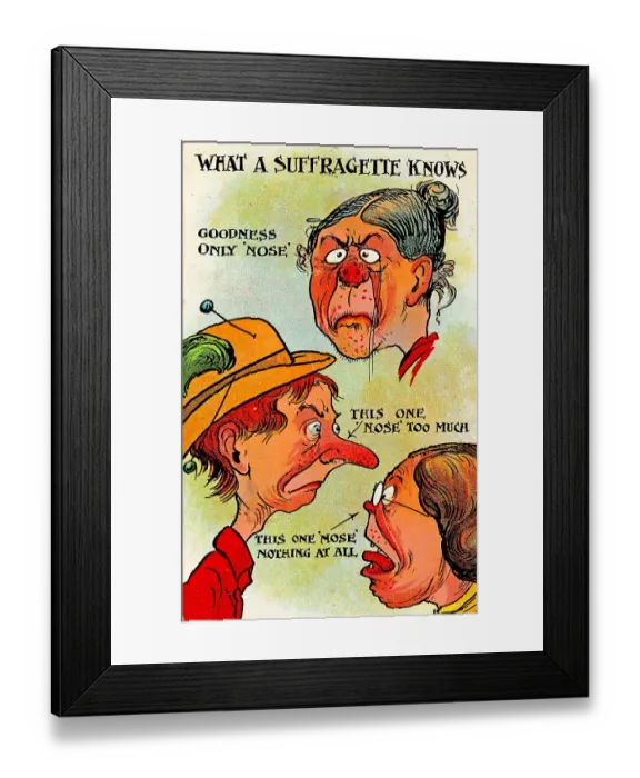 Framed Print : Anti-Suffrage Noses