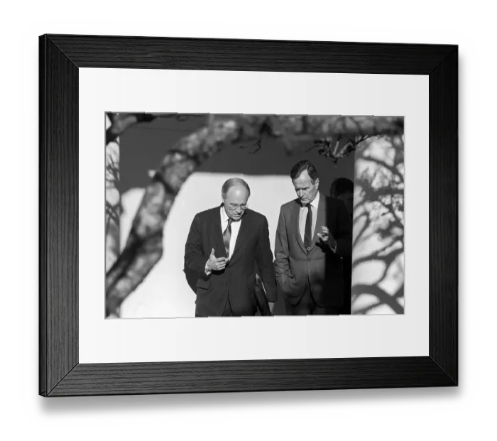 Framed Print : Bush And Cheney