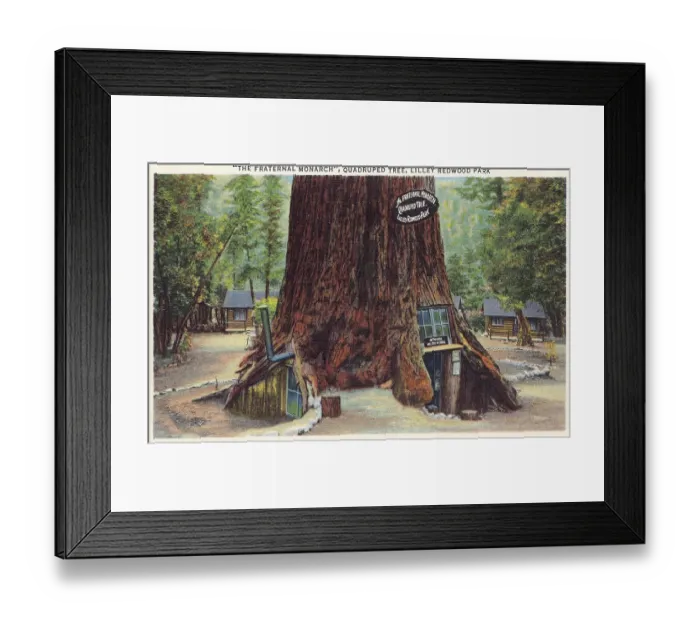 Framed Print : Vintage souvenir postcard, Redwood Highway Souvenir Views series, ca 1921
