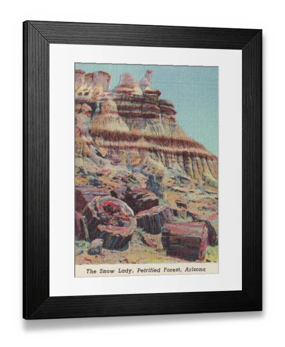 Framed Print : Vintage souvenir postcard, Petrified Forest National Park, Arizona, ca 1943 Framed Print : Vintage souvenir postcard, Petrified Forest National Park, Arizona, ca 1943