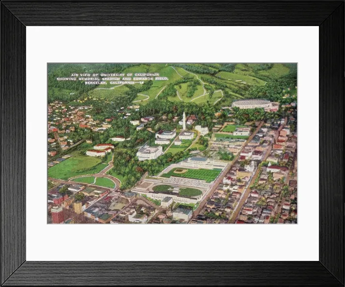 Framed Print : Vintage souvenir postcard, UC Berkeley Campus, ca 1941 Framed Print : Vintage souvenir postcard, UC Berkeley Campus, ca 1941