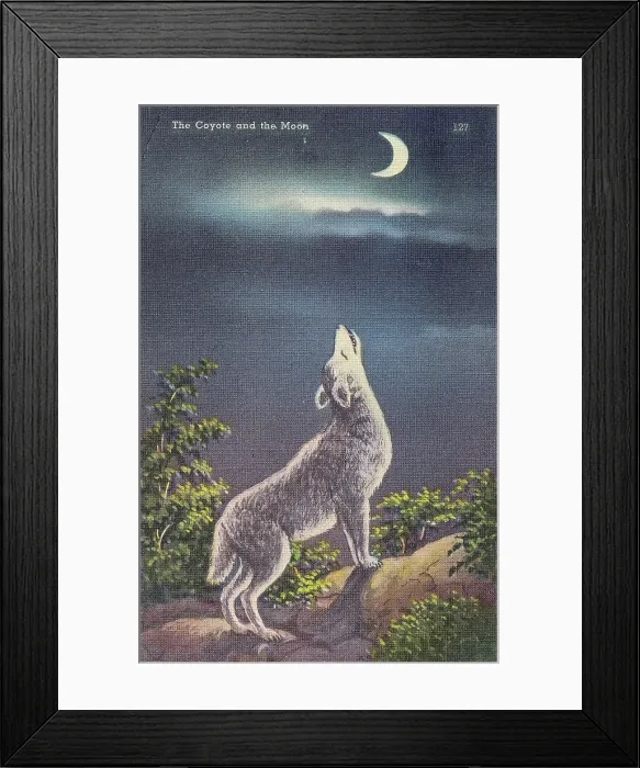 Framed Print : Vintage souvenir postcard series of the Ole Southwest, ca 1940 Framed Print : Vintage souvenir postcard series of the Ole Southwest, ca 1940