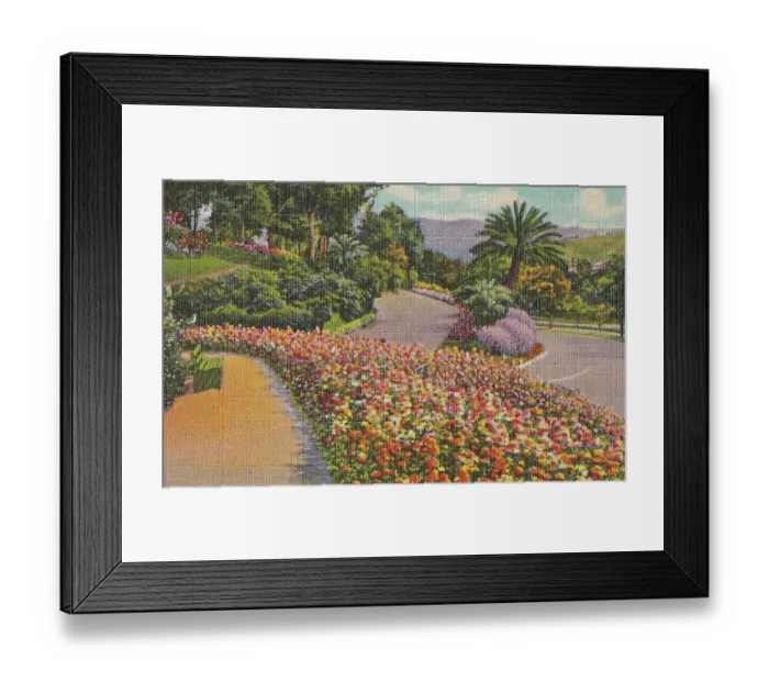 Framed Print : Vintage souvenir postcard, Elysian Park, Los Angeles Souvenir Views series, 1940 Framed Print : Vintage souvenir postcard, Elysian Park, Los Angeles Souvenir Views series, 1940