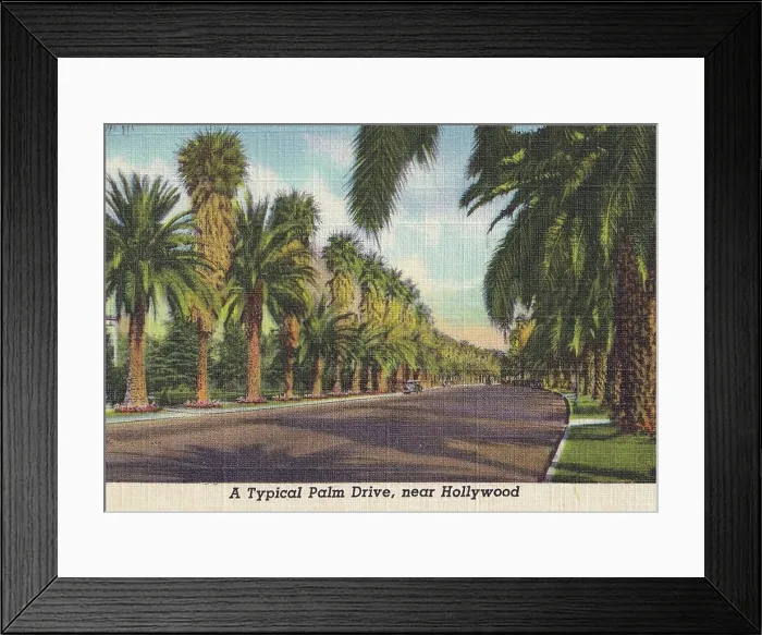 Framed Print : Vintage souvenir postcard, Palm Tree Lined Streets, Hollywood and Movie Star Homes series, ca 1938 Framed Print : Vintage souvenir postcard, Palm Tree Lined Streets, Hollywood and Movie Star Homes series, ca 1938