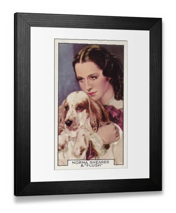 Framed Print : Norma Shearer and Flush the Dog, Film Partners series, Collectible Tobacco Card, 1935