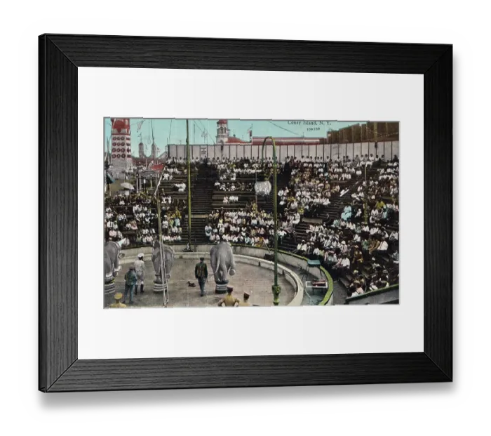 Framed Print : Vintage souvenir postcard, Circus at Luna Park, Coney Island, New York City, 1926 Framed Print : Vintage souvenir postcard, Circus at Luna Park, Coney Island, New York City, 1926