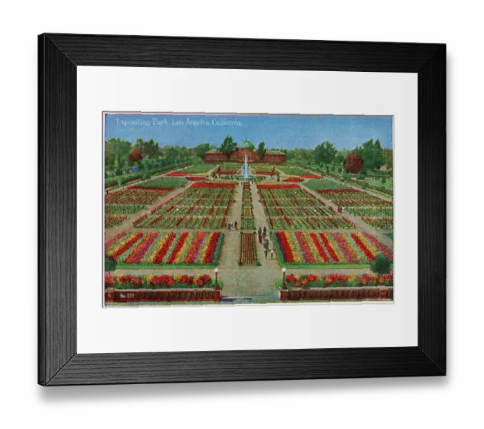 Framed Print : Vintage souvenir postcard, Exposition Park, Los Angeles, ca 1921 Framed Print : Vintage souvenir postcard, Exposition Park, Los Angeles, ca 1921