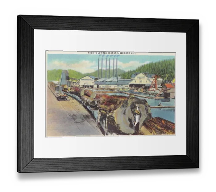Framed Print : Vintage souvenir postcard, Redwood Highway Souvenir Views series, ca 1921 Framed Print : Vintage souvenir postcard, Redwood Highway Souvenir Views series, ca 1921