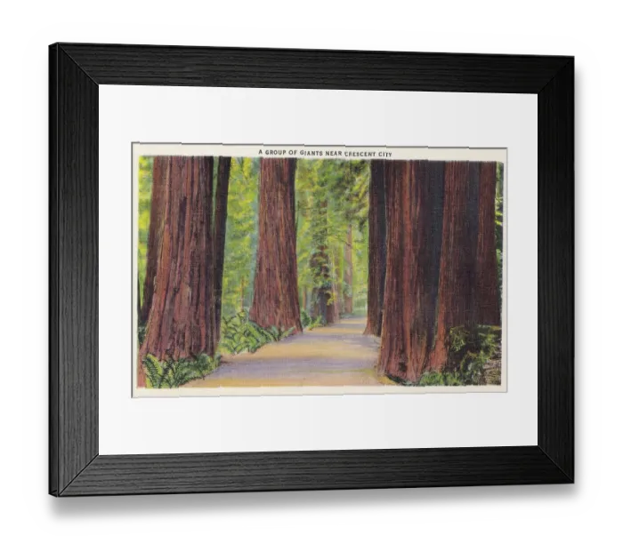 Framed Print : Vintage souvenir postcard, Redwood Highway Souvenir Views series, ca 1921