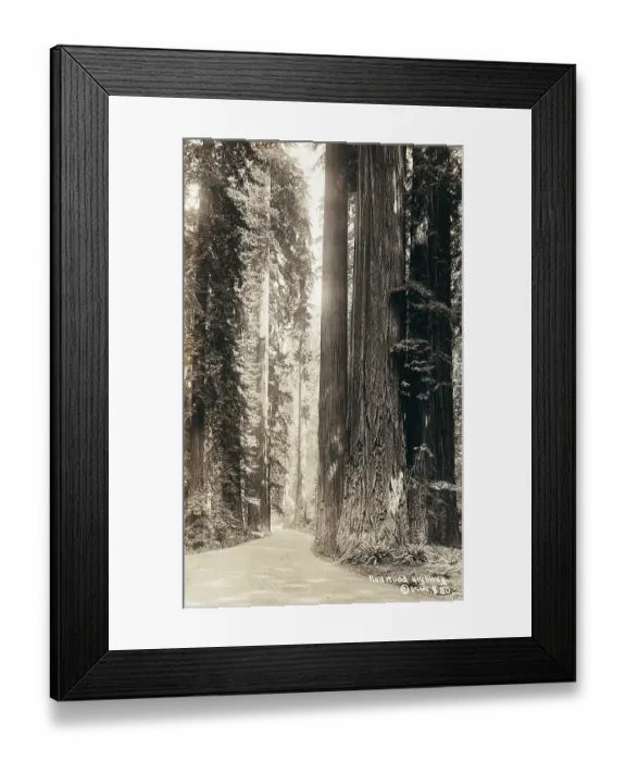 Framed Print : Vintage view, Redwood Highway, Humboldt County, California, 1915 Framed Print : Vintage view, Redwood Highway, Humboldt County, California, 1915