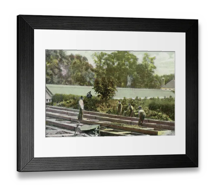 Framed Print : Vintage souvenir postcard, Building Greenhouses, Bronx Park, 1909 Framed Print : Vintage souvenir postcard, Building Greenhouses, Bronx Park, 1909