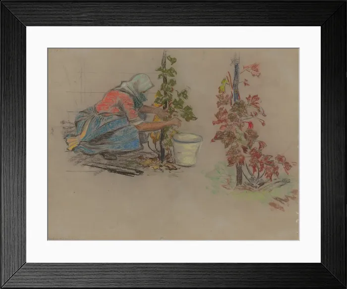 Framed Print : During Harvest Framed Print : During Harvest