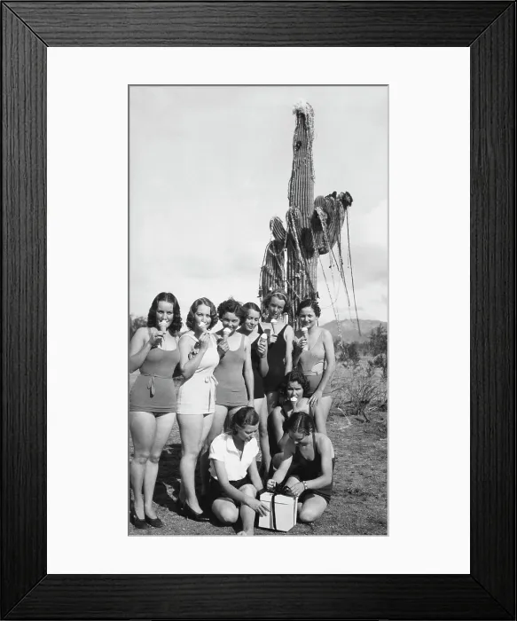 Framed Print : Arizona Desert Christmas Scene Framed Print : Arizona Desert Christmas Scene
