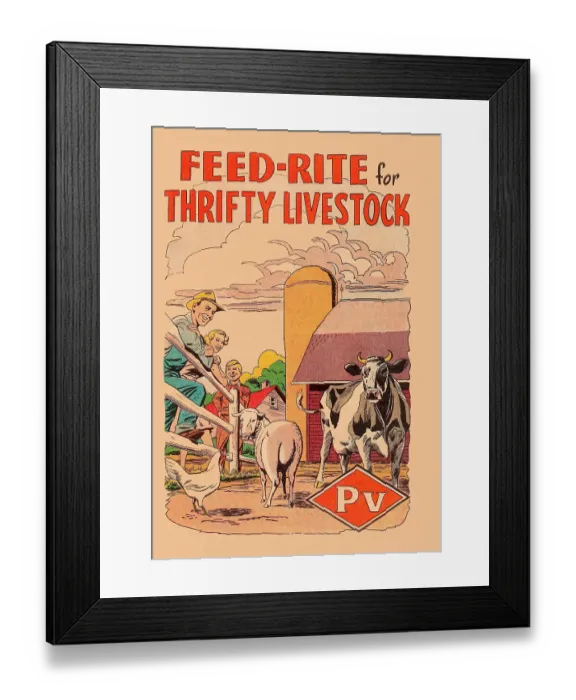 Framed Print : Feed-Rite for Thrifty Livestock Framed Print : Feed-Rite for Thrifty Livestock