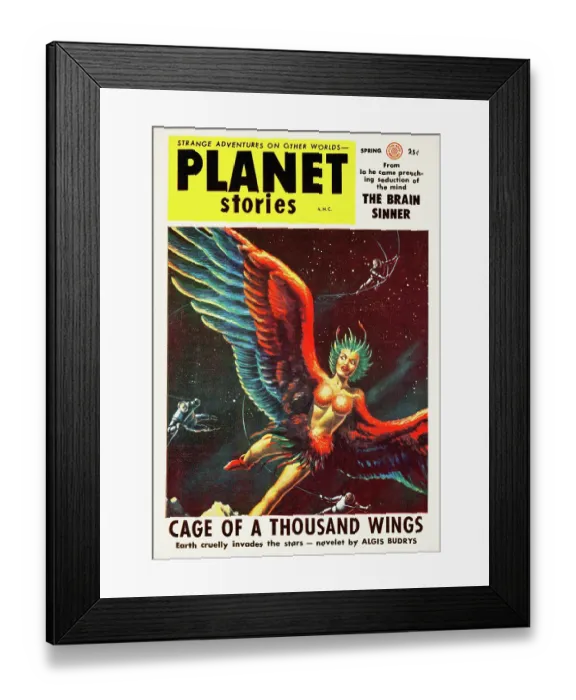 Framed Print : Cage of a Thousand Wings Framed Print : Cage of a Thousand Wings