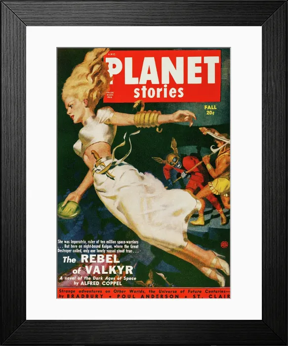 Framed Print : The Rebel Valkyr Framed Print : The Rebel Valkyr