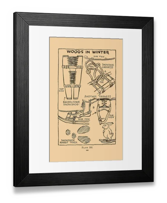 Framed Print : Woods in Winter X Framed Print : Woods in Winter X