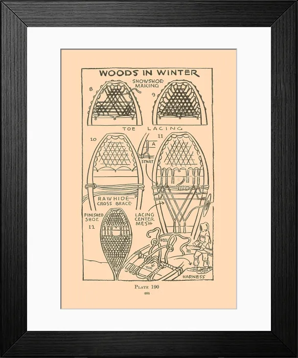 Framed Print : Woods in Winter IX Framed Print : Woods in Winter IX