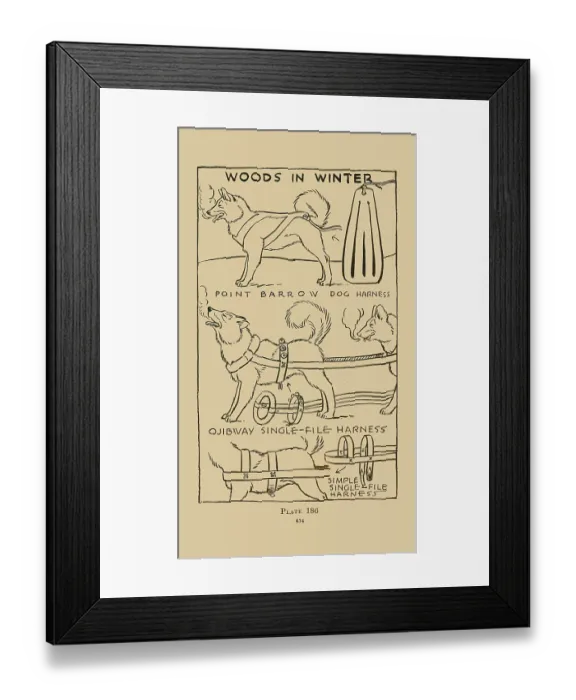 Framed Print : Woods in Winter VI Framed Print : Woods in Winter VI