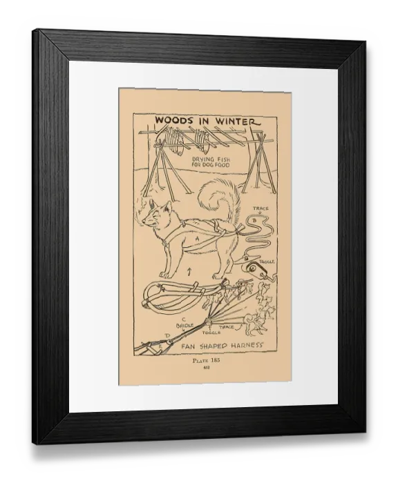 Framed Print : Woods in Winter V Framed Print : Woods in Winter V