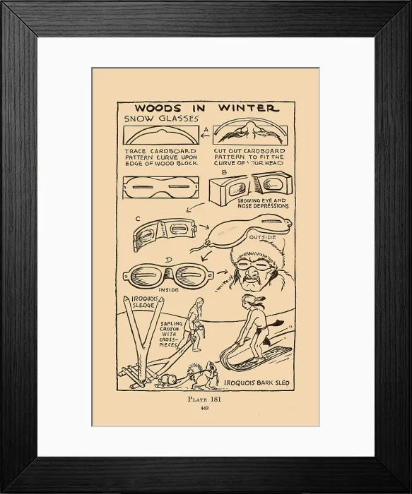 Framed Print : Woods in Winter Framed Print : Woods in Winter