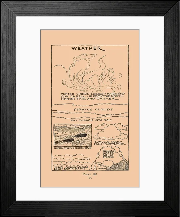 Framed Print : Weather. Illustrated plate from Wildwood Wisdom by Ellsworth Jaeger Framed Print : Weather. Illustrated plate from Wildwood Wisdom by Ellsworth Jaeger