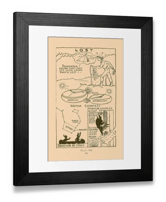 Framed Print : Lost. Illustrated plate from Wildwood Wisdom by Ellsworth Jaeger