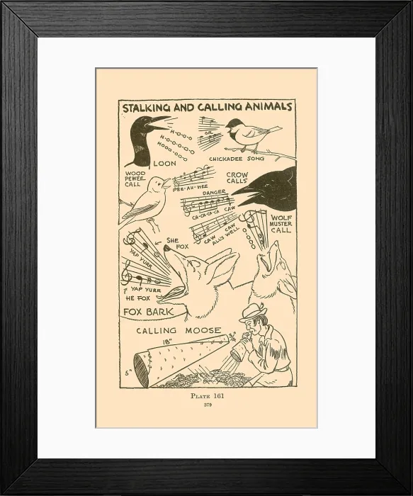 Framed Print : Stalking and Calling Animals V Framed Print : Stalking and Calling Animals V