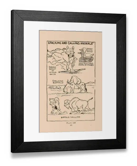 Framed Print : Stalking and Calling Animals III Framed Print : Stalking and Calling Animals III