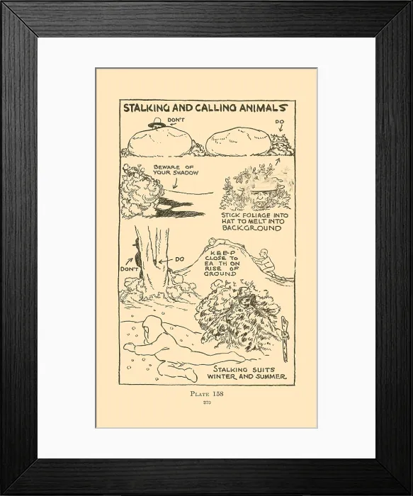 Framed Print : Stalking and Calling Animals II Framed Print : Stalking and Calling Animals II