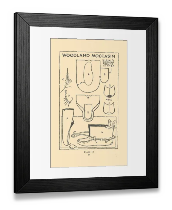 Framed Print : Woodland Moccasin Framed Print : Woodland Moccasin