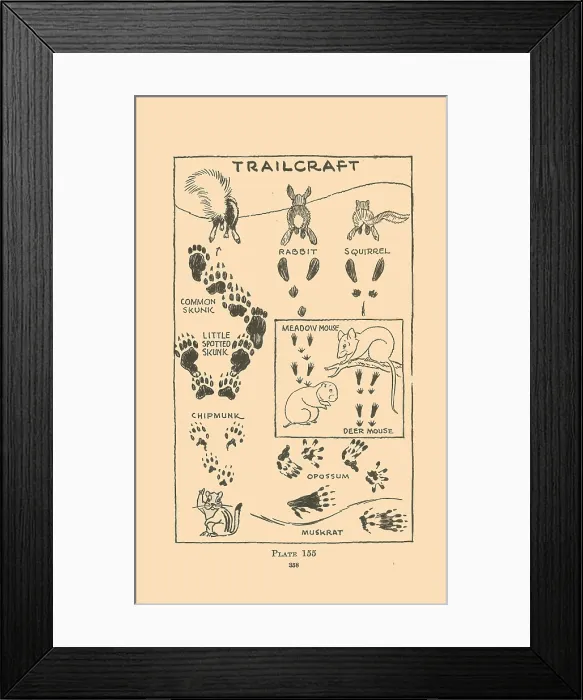 Framed Print : Trailcraft - Prints Framed Print : Trailcraft - Prints
