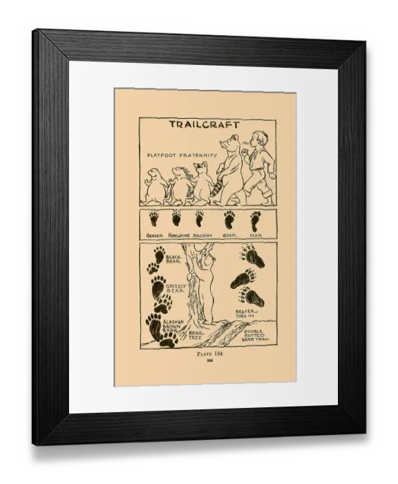 Framed Print : Trailcraft - Flatfoot