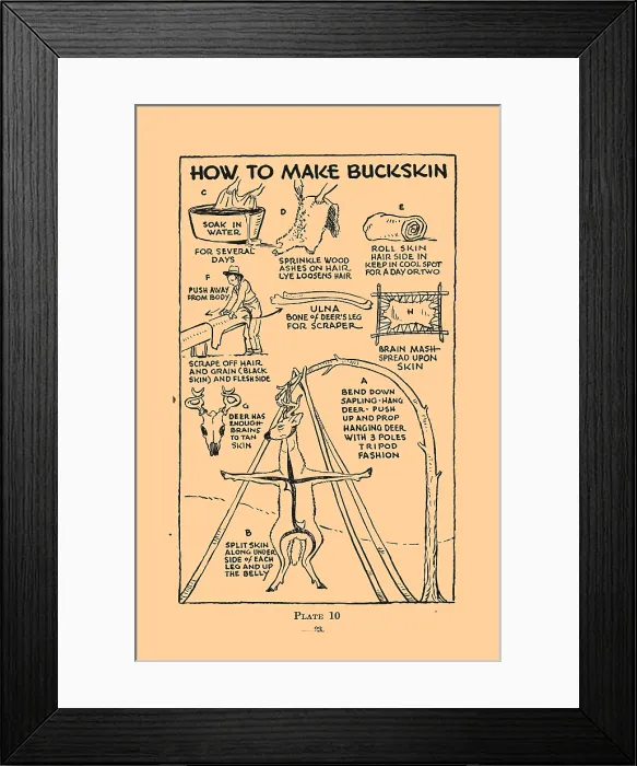 Framed Print : How to Make Buckskin