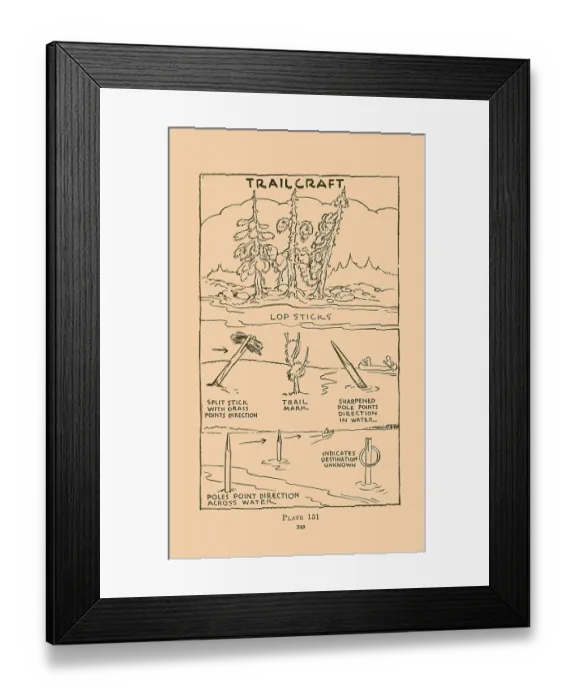 Framed Print : Trailcraft - Lop Stocks Framed Print : Trailcraft - Lop Stocks