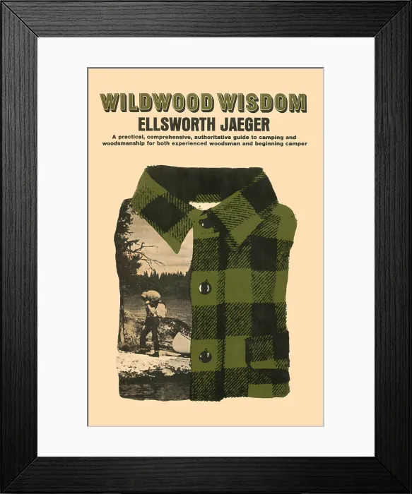 Framed Print : Wildwood Wisdom Framed Print : Wildwood Wisdom