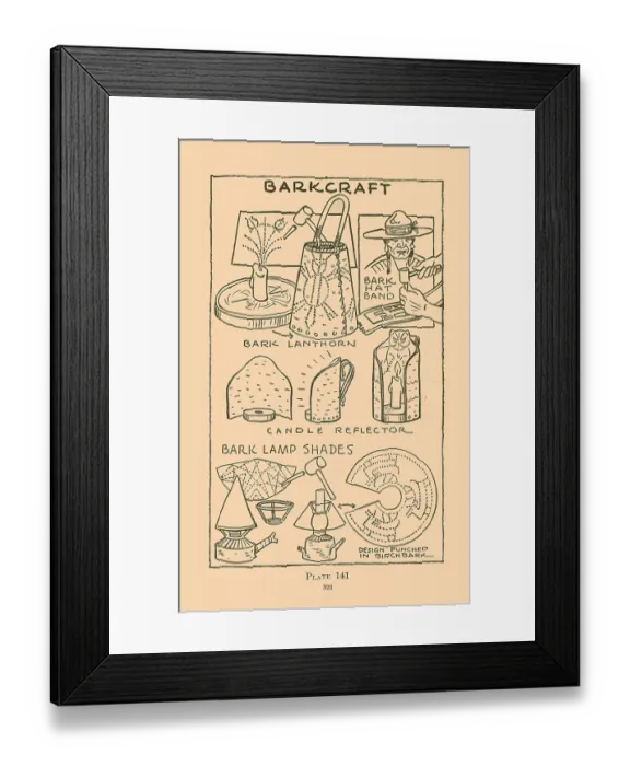 Framed Print : Barkcraft VI Framed Print : Barkcraft VI