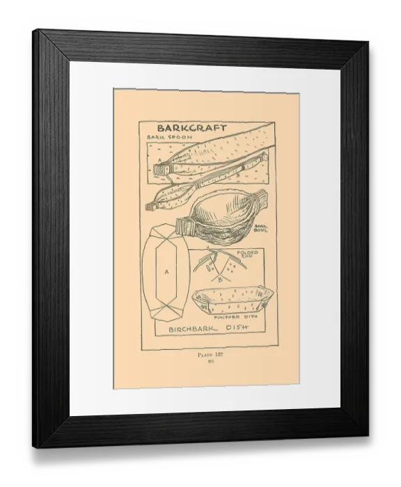Framed Print : Barkcraft II Framed Print : Barkcraft II