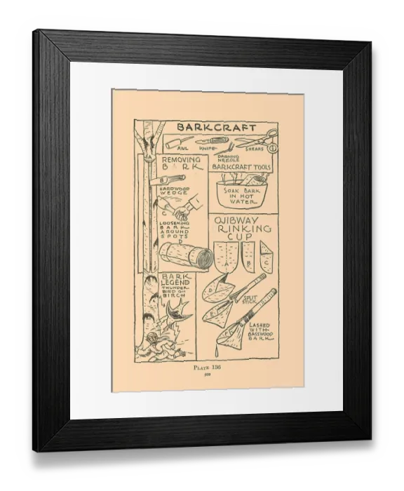 Framed Print : Barkcraft. Illustrated plate from Wildwood Wisdom by Ellsworth Jaeger