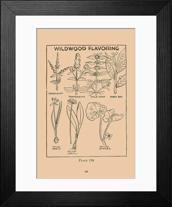 Framed Print : Wilwood Flavoring Framed Print : Wilwood Flavoring