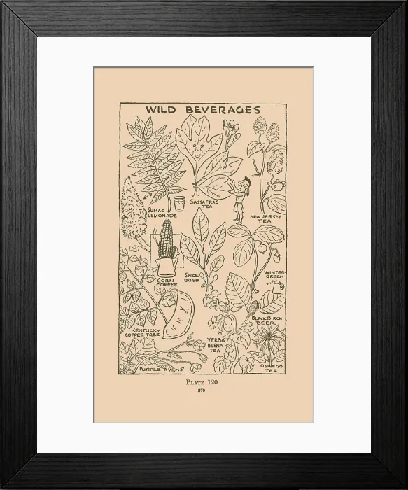 Framed Print : Wild Beverages Framed Print : Wild Beverages