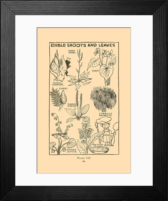 Framed Print : Edible Shoots and Leaves III Framed Print : Edible Shoots and Leaves III