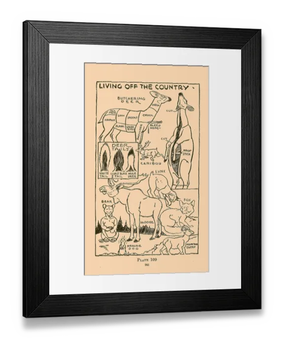 Framed Print : Living off the Country IV