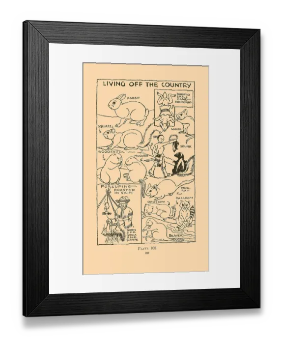 Framed Print : Living off the Country III Framed Print : Living off the Country III