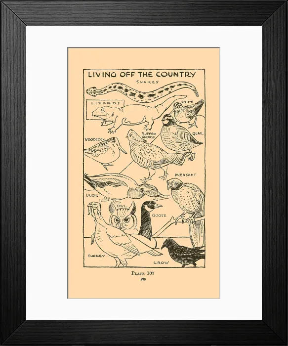 Framed Print : Living off the Country II Framed Print : Living off the Country II