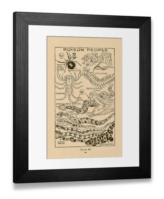 Framed Print : Poison People II Framed Print : Poison People II