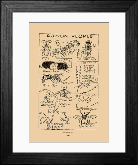 Framed Print : Poison People Framed Print : Poison People