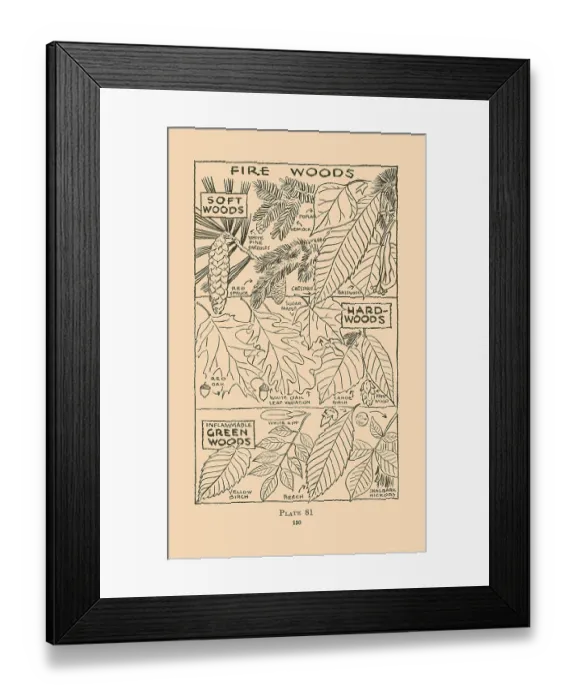 Framed Print : Fire Woods Framed Print : Fire Woods